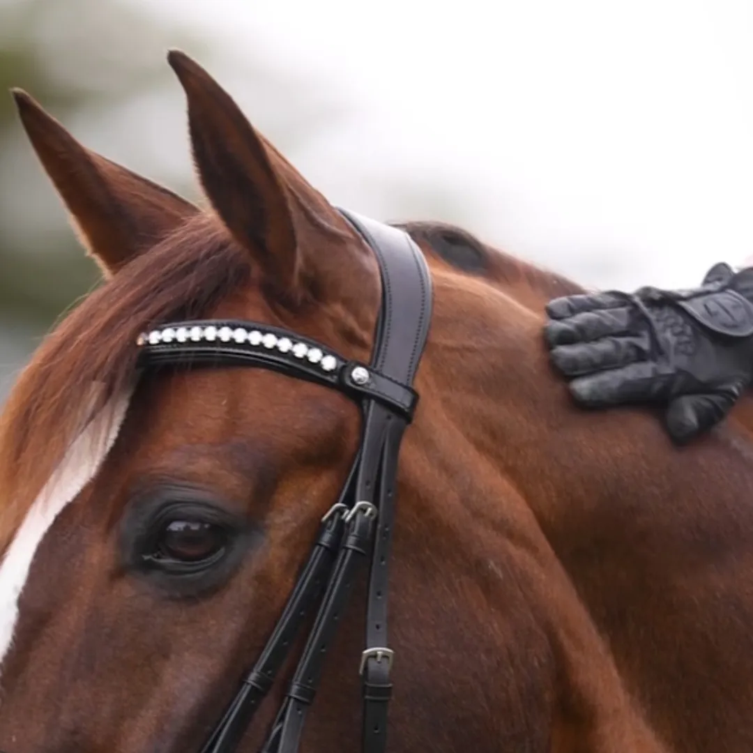 Valentina Black Patent Sparkle Snaffle Bridle